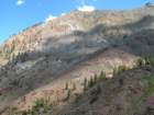 sequoianp599_small.jpg