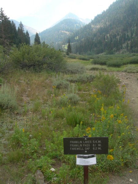 sequoianp622.jpg