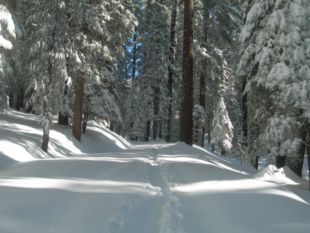 photo28.jpg