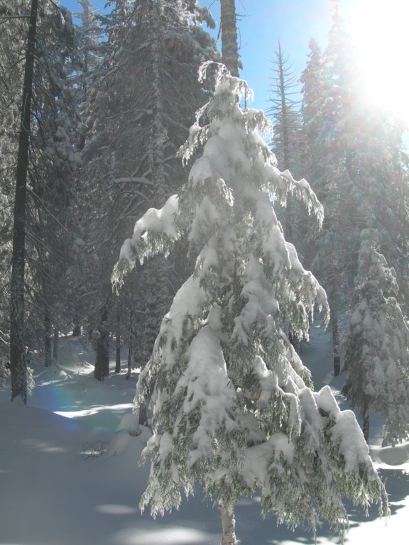 photo29.jpg