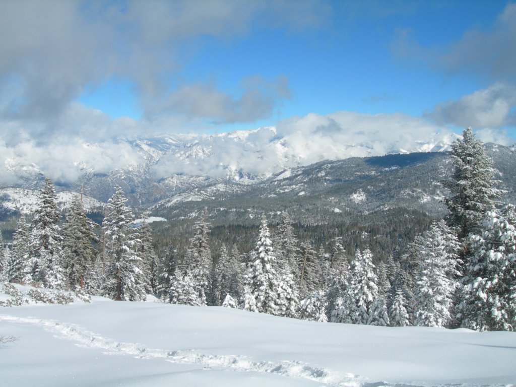 photo40.jpg