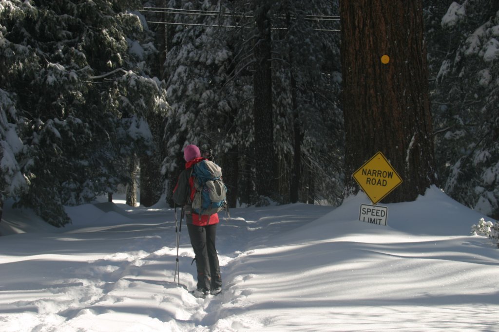 snowshoetrip_006.jpg