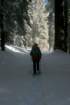 snowshoetrip_012_small.jpg