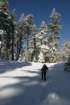 snowshoetrip_038_small.jpg