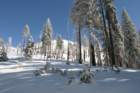 snowshoetrip_039_small.jpg
