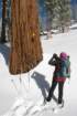 snowshoetrip_045_small.jpg