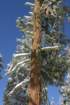 snowshoetrip_047_small.jpg