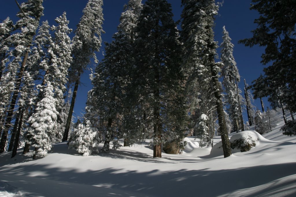 snowshoetrip_049.jpg