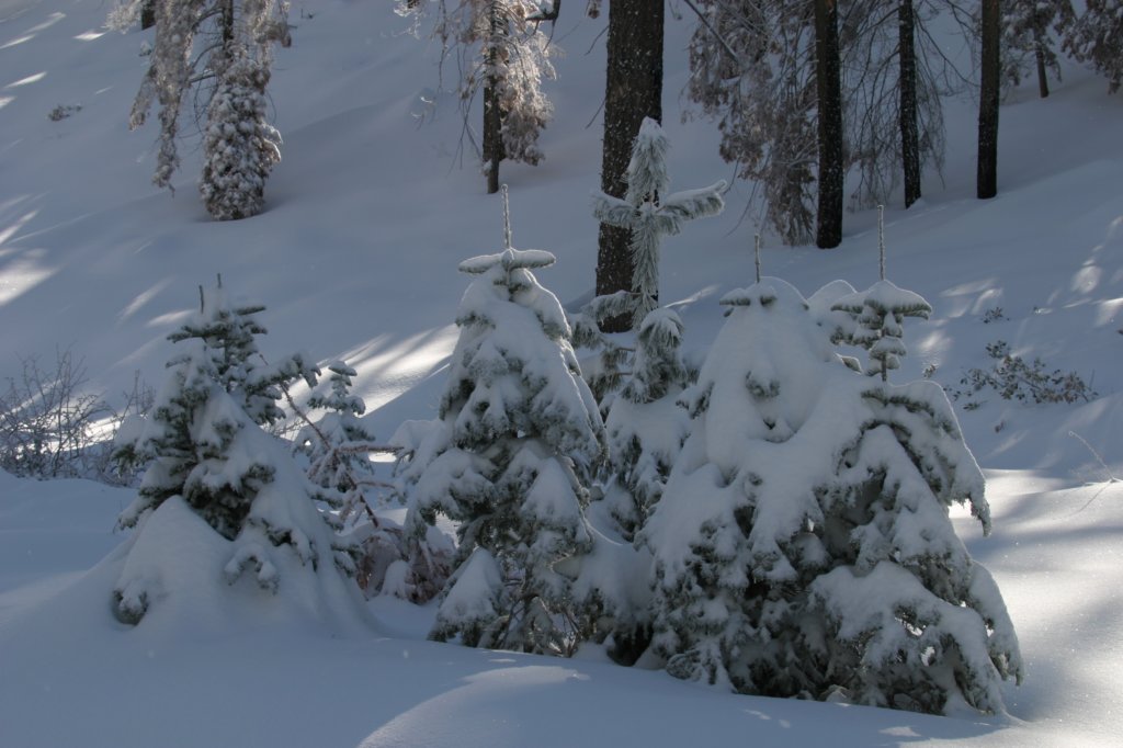 snowshoetrip_063.jpg