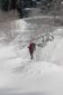 snowshoetrip_069_small.jpg