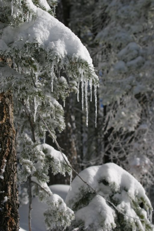 snowshoetrip_074.jpg