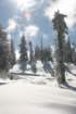 snowshoetrip_078_small.jpg