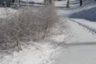 snowshoetrip_083_small.jpg