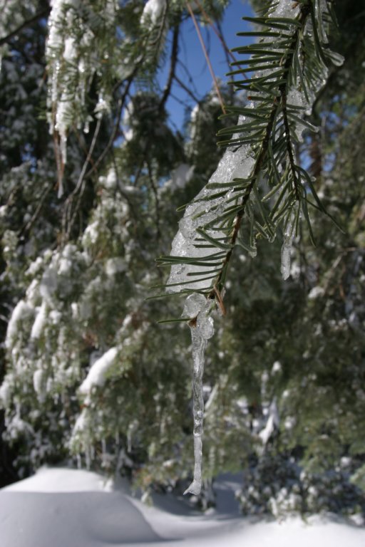 snowshoetrip_121.jpg