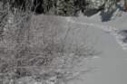 snowshoetrip_126_small.jpg