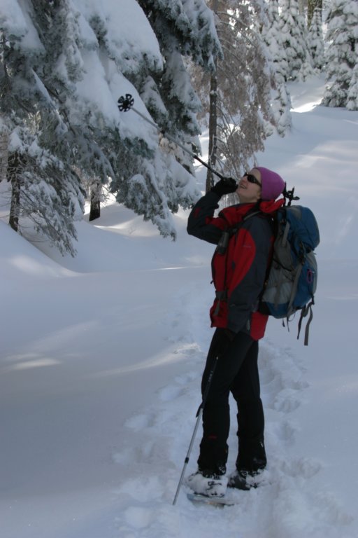 snowshoetrip_136.jpg