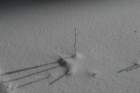 snowshoetrip_160_small.jpg