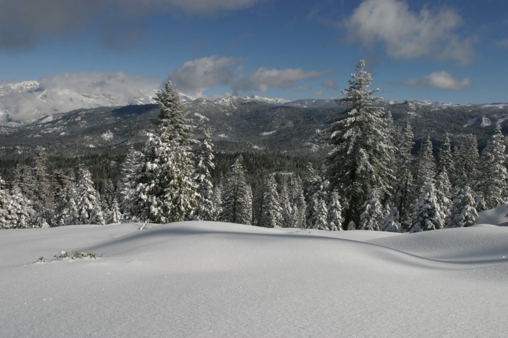 snowshoetrip_182.jpg