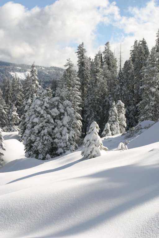 snowshoetrip_192.jpg