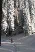 snowshoetrip_212_small.jpg