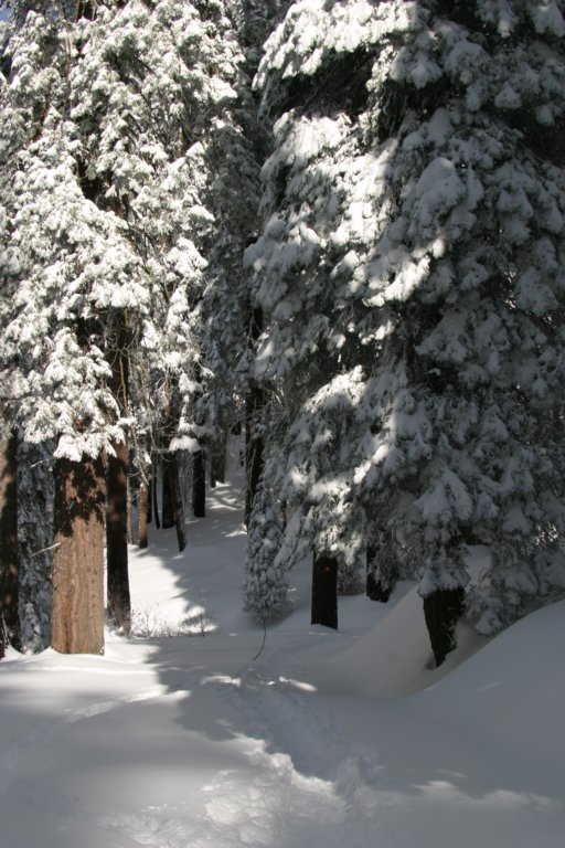 snowshoetrip_216.jpg