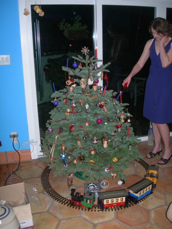 christmas200811.jpg