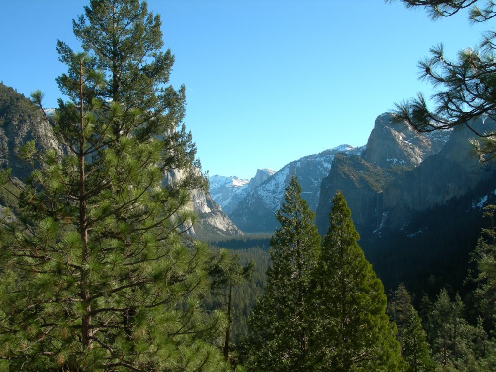 deweypoint001.jpg