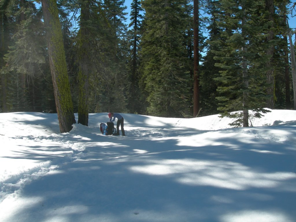 deweypoint008.jpg