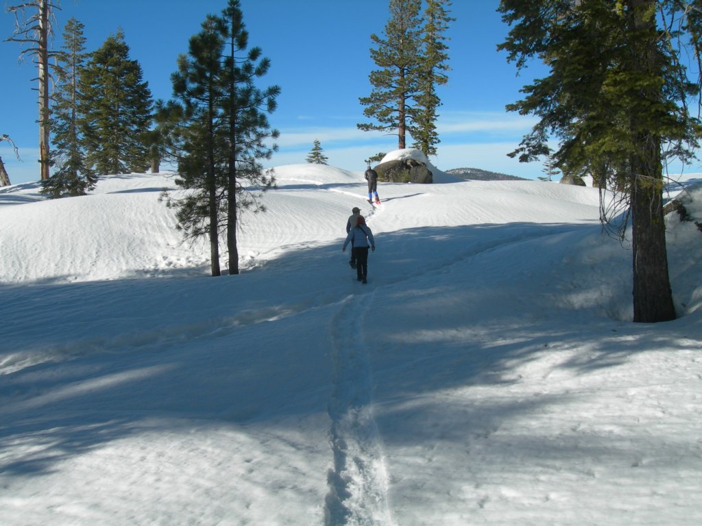 deweypoint032.jpg