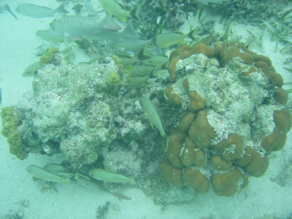 mexico_trip_152.jpg