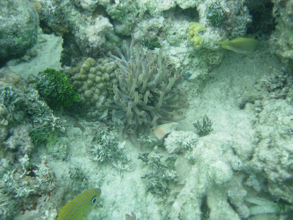 mexico_trip_167.jpg