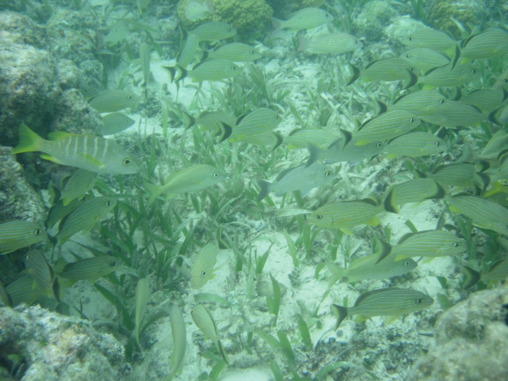 mexico_trip_169.jpg
