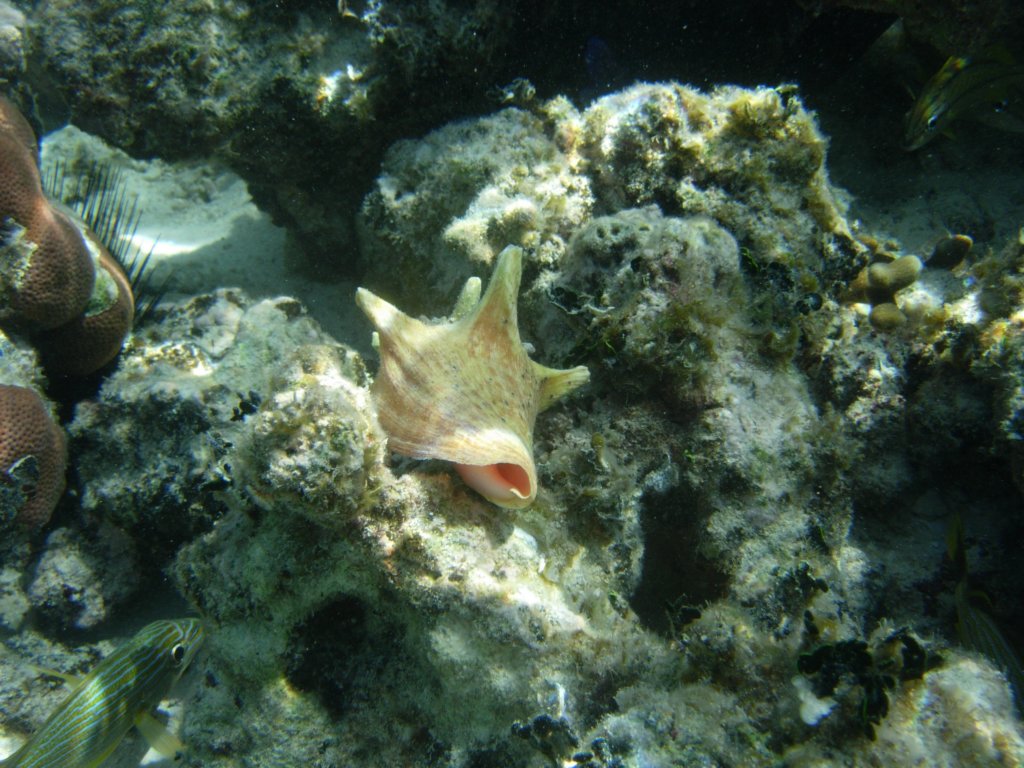 mexico_trip_236.jpg
