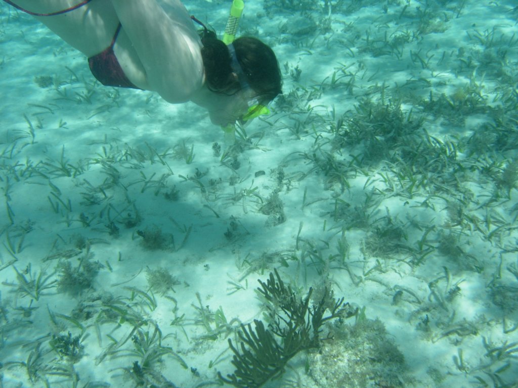 mexico_trip_247.jpg