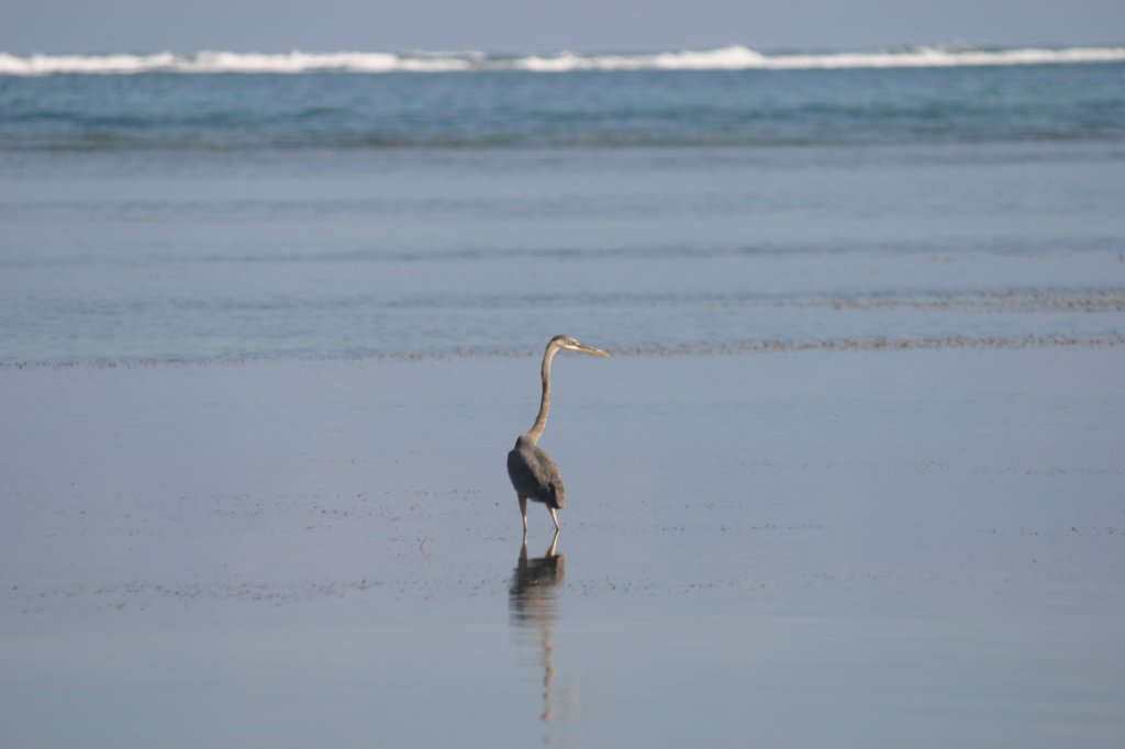 mexico_trip_290.jpg