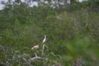 mexico_trip_386_small.jpg