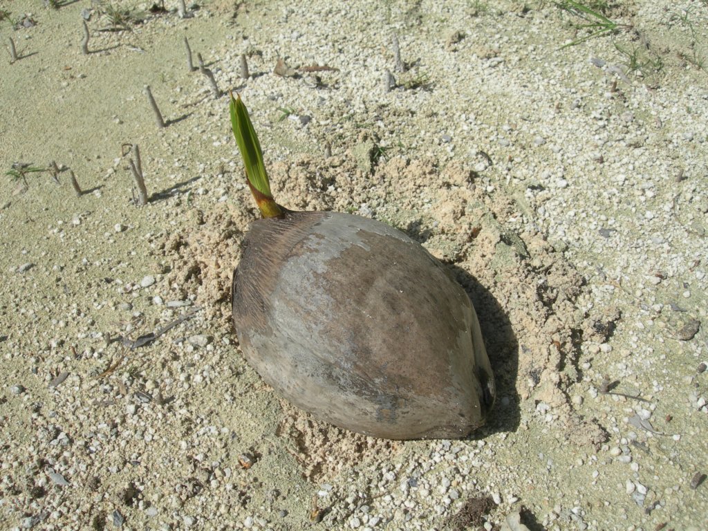 mexico_trip_397.jpg