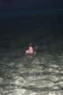 mexico_trip_41_small.jpg
