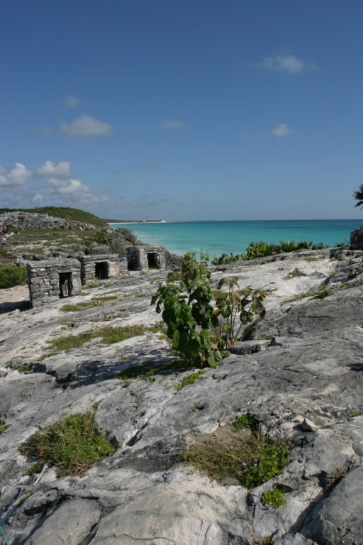 mexico_trip_451.jpg