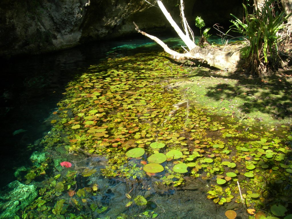 mexico_trip_522.jpg