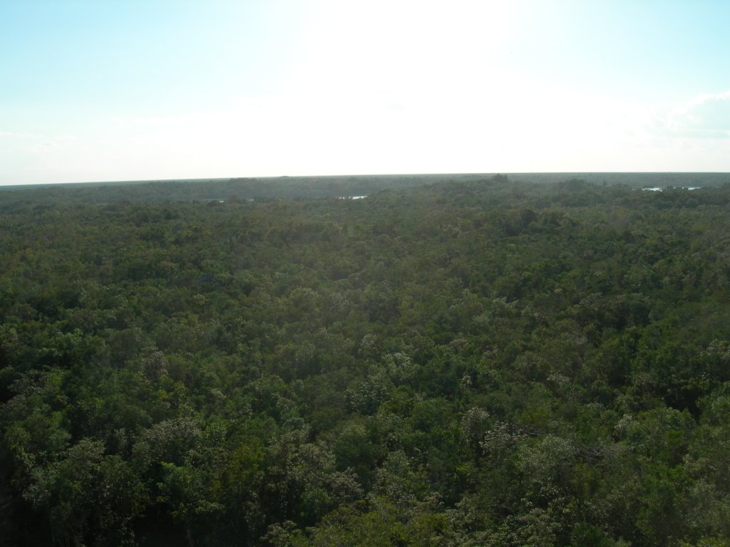 mexico_trip_600.jpg