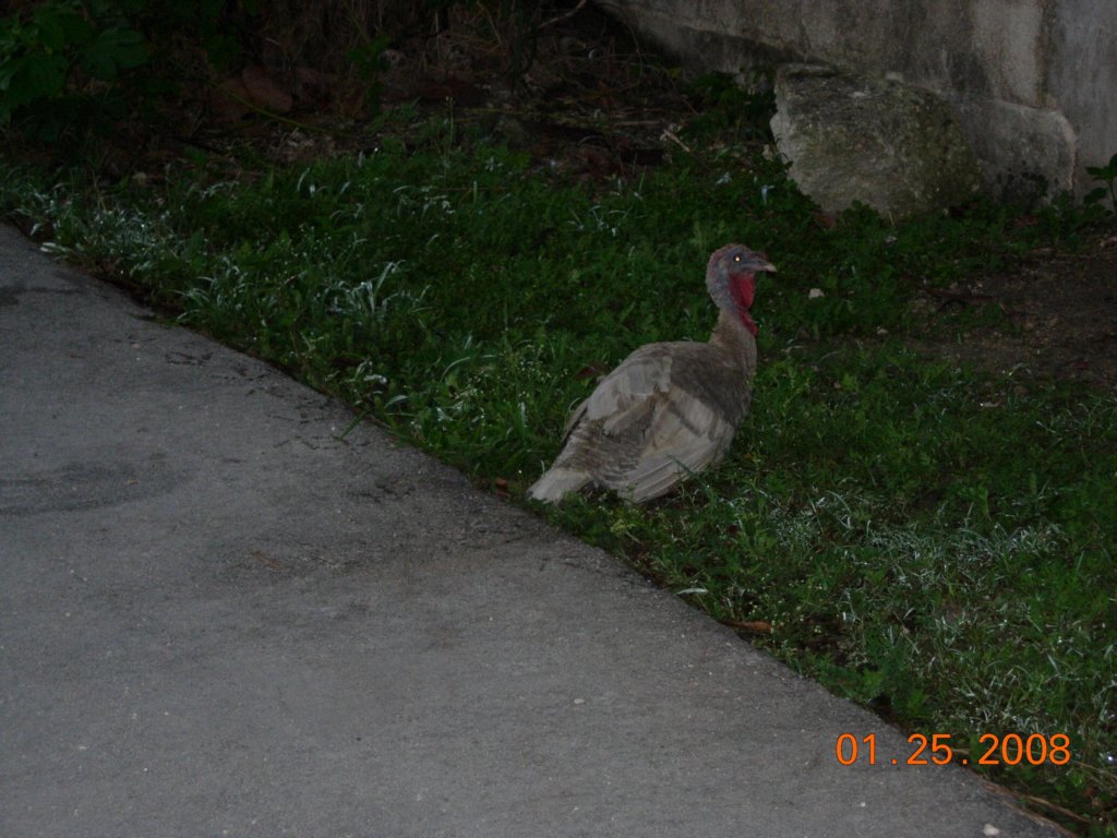 mexico_trip_621.jpg