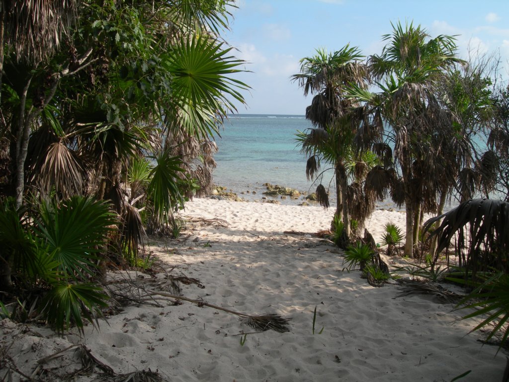 mexico_trip_676.jpg