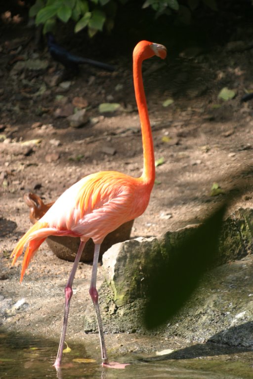 mexico_trip_701.jpg