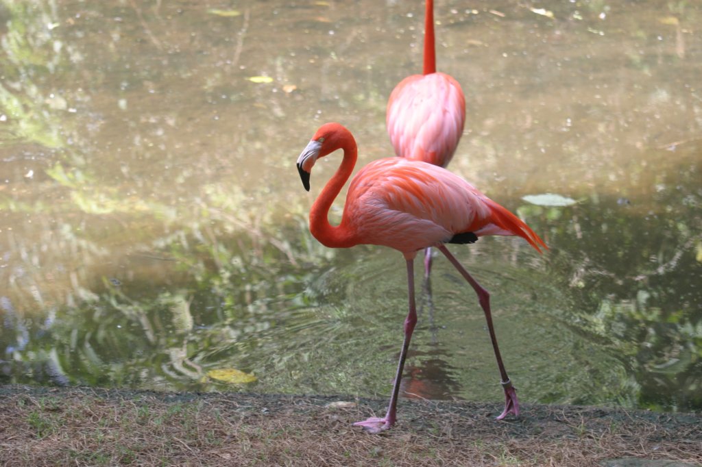 mexico_trip_704.jpg