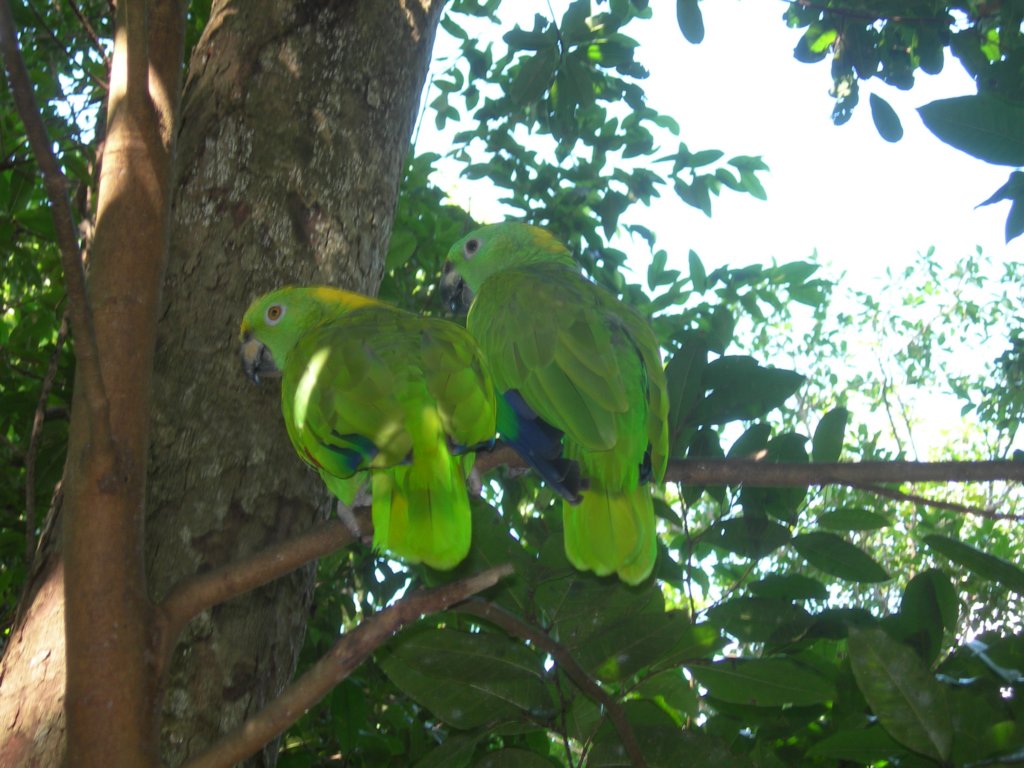 mexico_trip_802.jpg