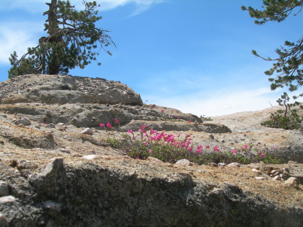 grandcanyon034.jpg