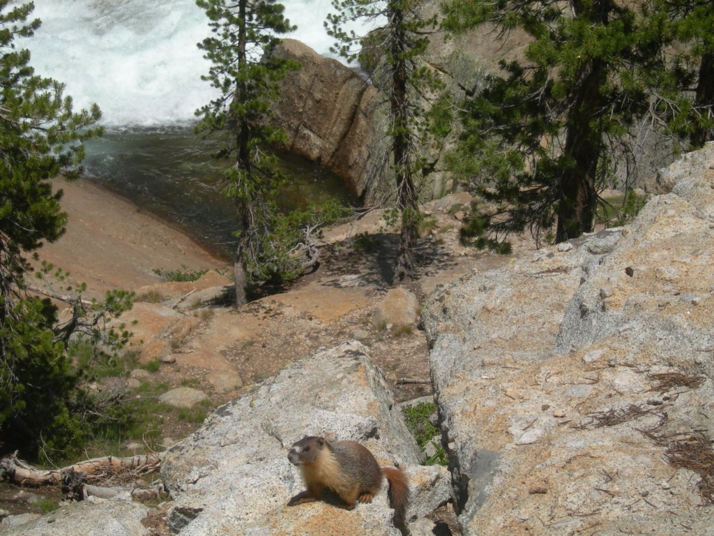 grandcanyon048.jpg