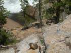 grandcanyon048_small.jpg