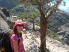 grandcanyon232_small.jpg